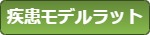 疾患モデルラット