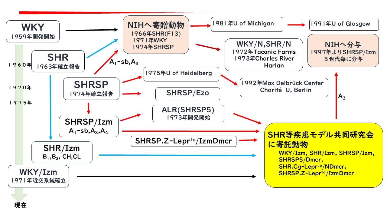 系統図