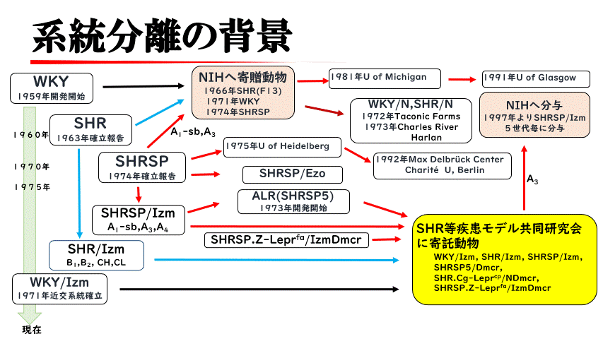 系統図